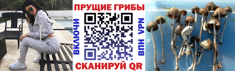 Галлюциногенные грибы прущие грибы  гидра   Липки 